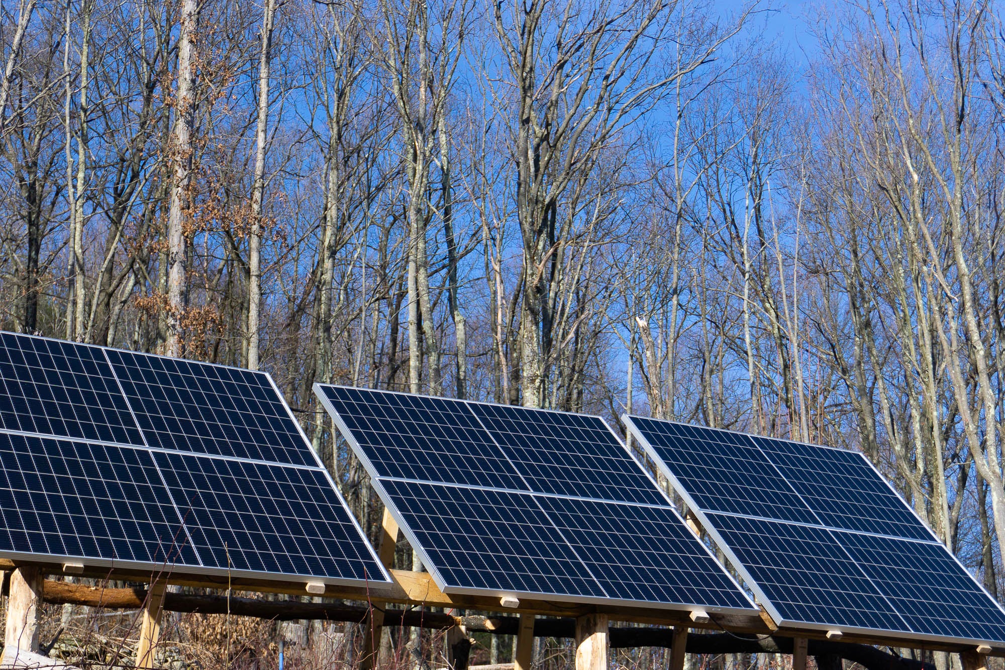 part of our backyard solar array that powers our ring shop