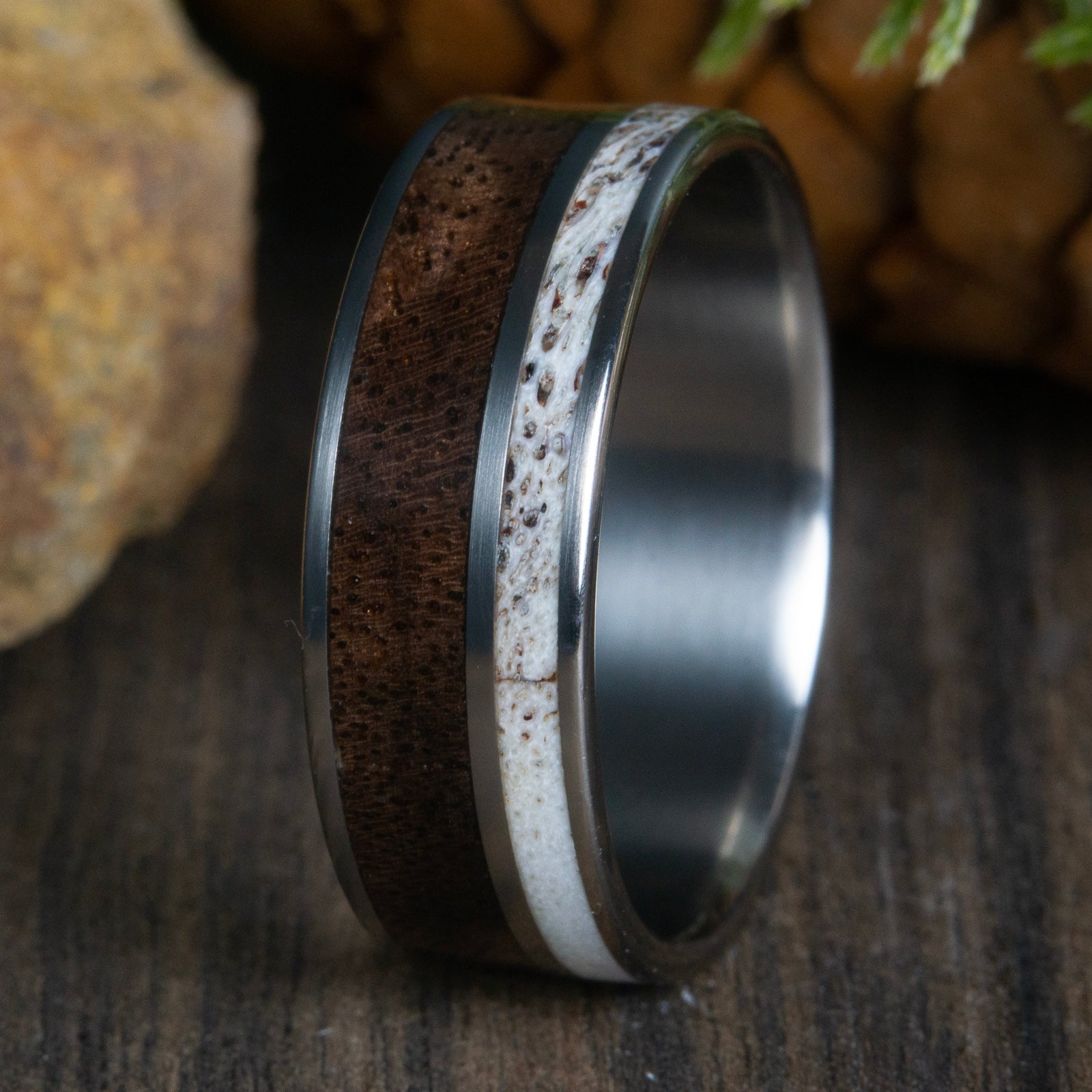 deer antler ring with walnut inlay